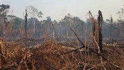 Os focos de incêndios iniciaram há cerca de dez dias e se intensificam a cada dia. Fotos: Bob Mulega