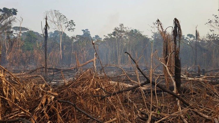 Os focos de incêndios iniciaram há cerca de dez dias e se intensificam a cada dia. Fotos: Bob Mulega