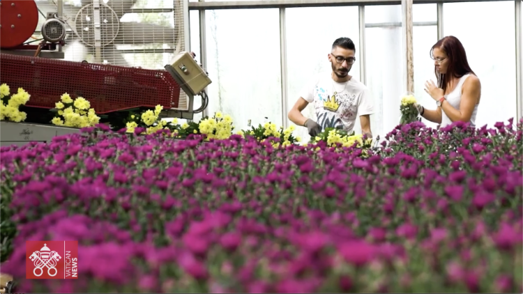 Employee welfare is a priority at this large company that produces chrysanthemums