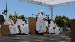 Cardeal José Tolentino de Mendonça, Prefeito do Dicastério para a Educação e Cultura