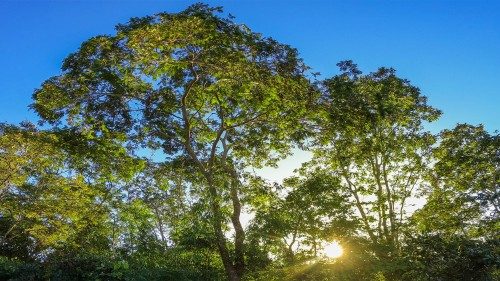 Il y a 10 ans, la publication de l’encyclique prophétique Laudato si'