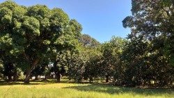 Kutunza mazingira ni wajibu wetu kwa kila kiumbe.