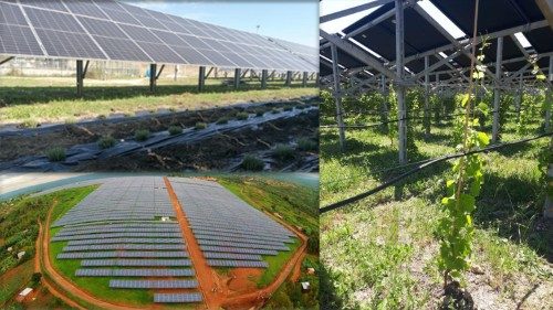 El Papa dispone la construcción de una planta agrivoltaica para el Vaticano