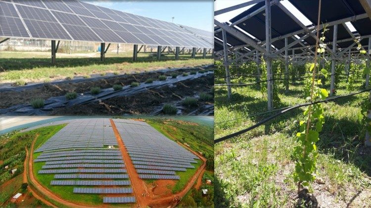 Imagens de sistemas agrovoltaicos