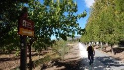 El Camino de Levante, que conecta Orihuela con Caravaca, está comprendido por cinco tramos que se pueden recorrer sin demasiada dificultad.