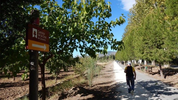 El Camino de Levante, que conecta Orihuela con Caravaca, está comprendido por cinco tramos que se pueden recorrer sin demasiada dificultad. 