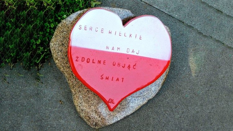 (s. Amata J. Nowaszewska CSFN)