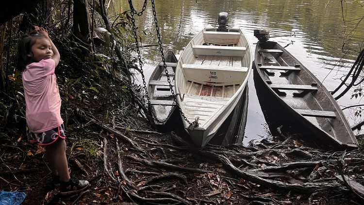 Imagens do interior da Amazônia