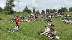 2024.05.30 Descrizione: Rondine 2024