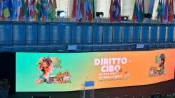 Aula della plenaria presso la FAO