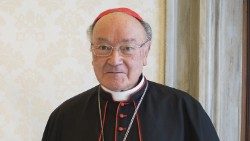 Cardinal Renato Raffaele Martino