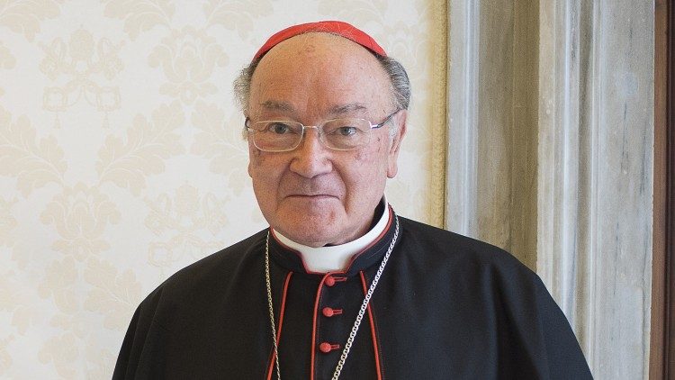Cardinal Renato Raffaele Martino