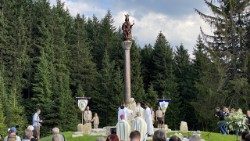 Kolumna znajduje się na Przełęczy Karkonoskiej 600 m od granicy polsko-czeskiej. Fot. Krzysztof Bronk