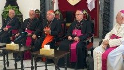 Delegacja Episkopatu Francji w Ziemi Świętej