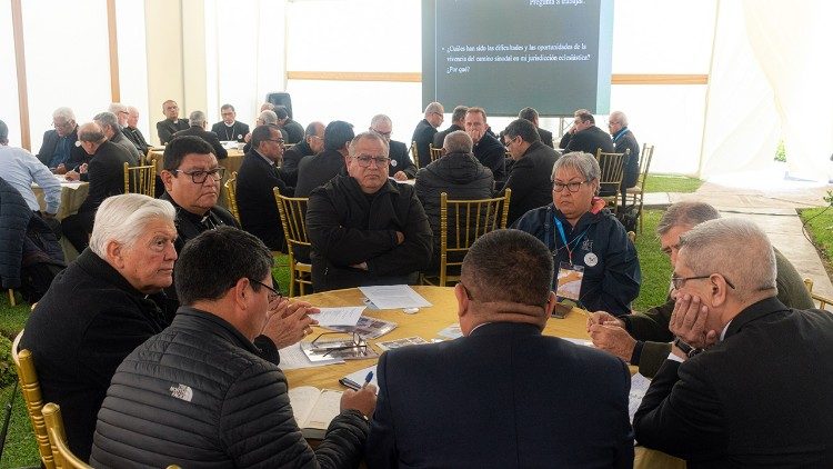 Os bispos durante a Assembleia Plenária