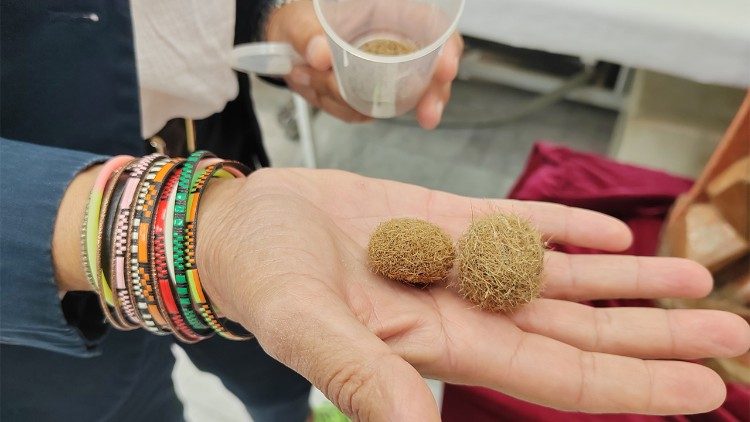O uso de Posidonia na restauração