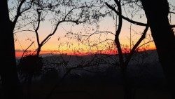 Hajnal (Fotó: Kulcsár Beáta)