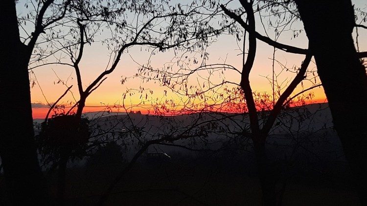 Hajnal (Fotó: Kulcsár Beáta)