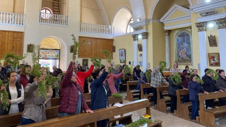 Връбница в Малчика