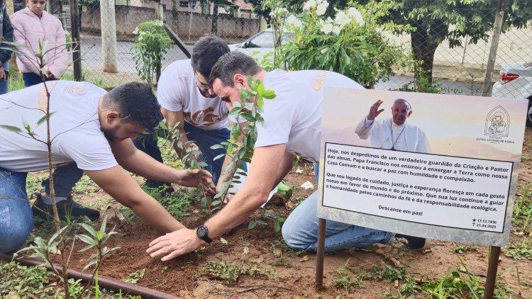Francisco vive: lideranças plantam árvores em homenagem ao Papa