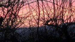 Napnyugta (Fotó: Kulcsár Beáta)