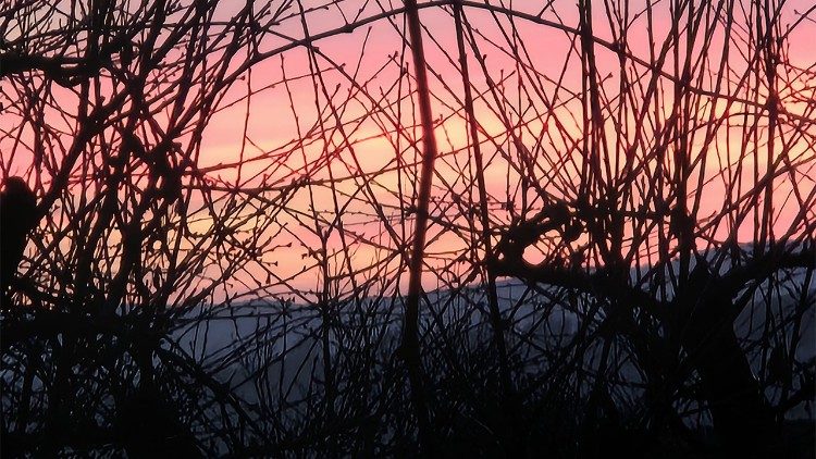 Napnyugta (Fotó: Kulcsár Beáta)