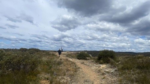 Psalm na niedzielę: wyjątkowa partytura nadziei