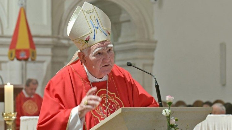 Umirovljeni biskup Ante Ivas uoči Stepinčeva propovijeda u Sinju  (Foto: Svetište Gospe Sinjske)