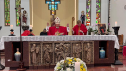 Msza św. w Johannesburgu ku czci bł. kard. Alojzego Stepinaca 