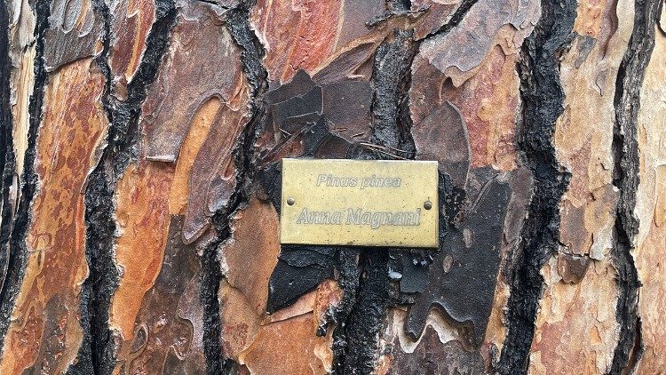 La targhetta sull'albero intitolato ad Anna Magnani