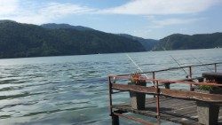 Tóparton (Fotó: Sajgó Balázs)