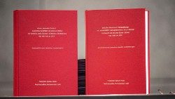 Il report abusi pubblicato dalla diocesi di Bolzano-Bressanone 