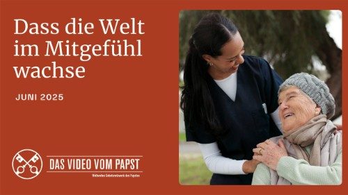 Leo XIV. ruft zu einer „Mission des Mitgefühls“ auf