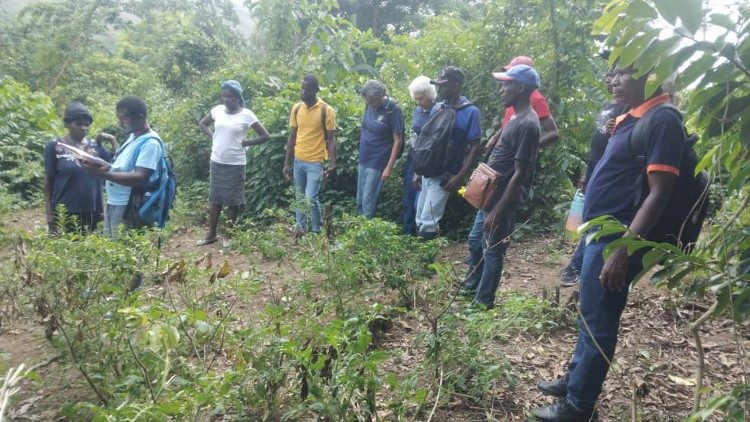 Une formation menée par un agronome, qui travaille avec les trois religieuses. 