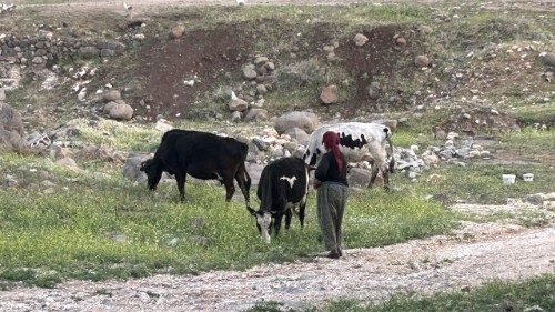 En Turquie syriaque, la diaspora et le retour