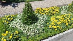 2025.07.11 Bustani ya Borgo Laudato Si