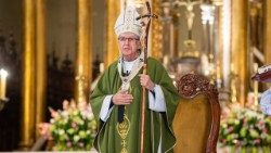 Cardenal Carlos Castillo