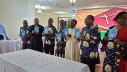 Mpango Mkakati wa Miaka mitano 2025- 2030 wa Halmashauri ya Walei Kanisa Katoliki Tanzania.