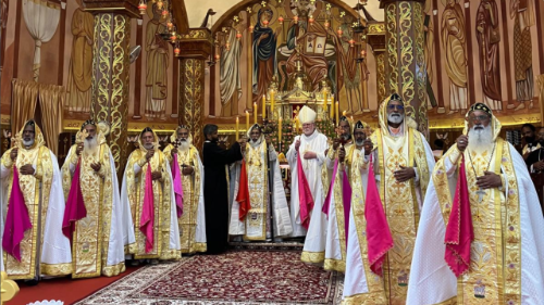 Gallagher en la India: unidos en la diversidad para dar testimonio de Cristo 