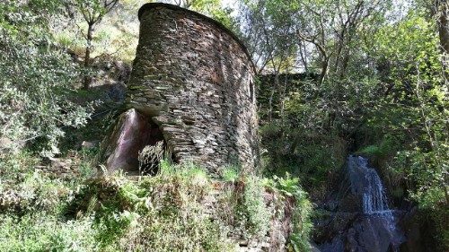 Proteger a Criação, cuidar da casa comum - foto Lusofonias
