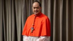 கர்தினால் பாப்லோ விர்ஜிலியோ டேவிட் 