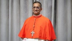 കർദ്ദിനാൾ സെബാസ്റ്റ്യൻ ഫ്രാൻസിസ്