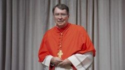 Đức Hồng y Christophe Pierre, Sứ thần Tòa Thánh tại Mỹ