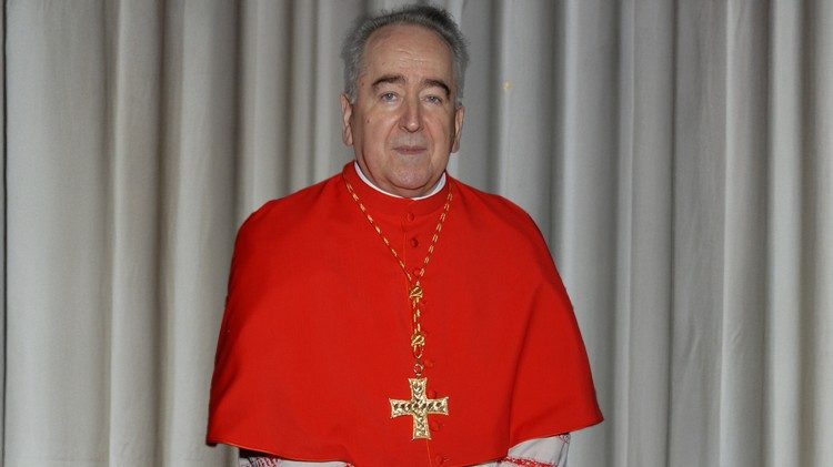 Kardinal Stanislaw Ryłko