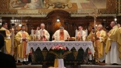 Kardinal Puljić predvodi misu povodom izbora pape Lava XIV.