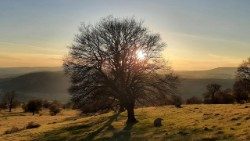 Naplemente (Fotó: Kulcsár Beáta)