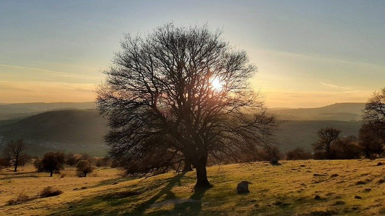Naplemente (Fotó: Kulcsár Beáta)