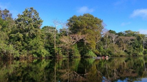 Laudato si' -  ti år efter pave Frans’ råb efter omsorg for vores klode