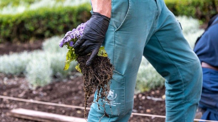 Floral Coat of Arms for Pope Leo XIV unveiled in Vatican Gardens