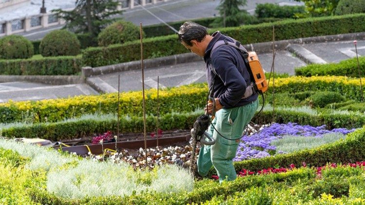  Floral Coat of Arms for Pope Leo XIV is unveiled